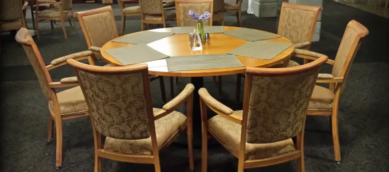 Chair and Tables for Dining