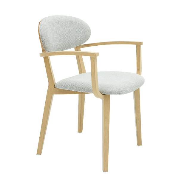 Cadair Freichiau Sedd Uchel Orau i'r Henoed yn 2023 1