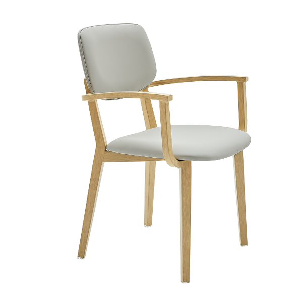 Cadair Freichiau Sedd Uchel Orau i'r Henoed yn 2023 2