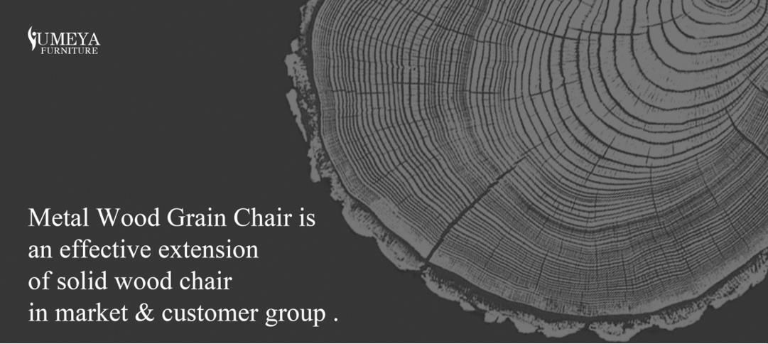 Yumeya's Metal Wood Grain Senior Living Chair nije samo trajna izdržljivost, već i dobar izgled 1