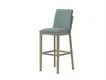 Yumeya Chairs Triclinium Cathedra Tutus Dining Cathedra Tutus 3