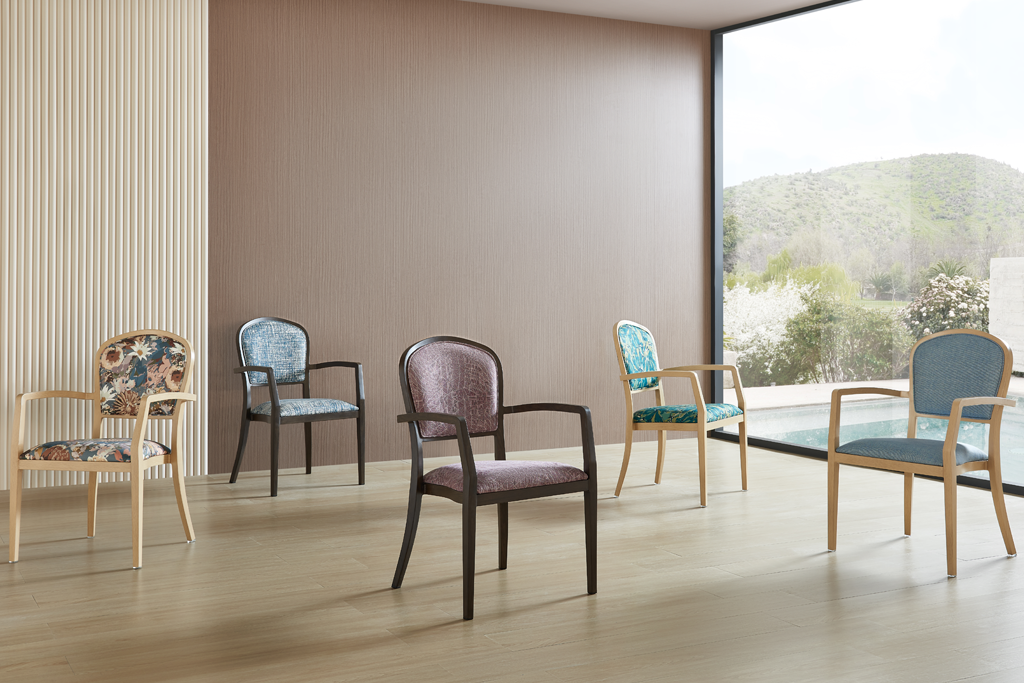 Hægindastólar Vs. Hliðarstólar fyrir aldraða: Hver er bestur? 1