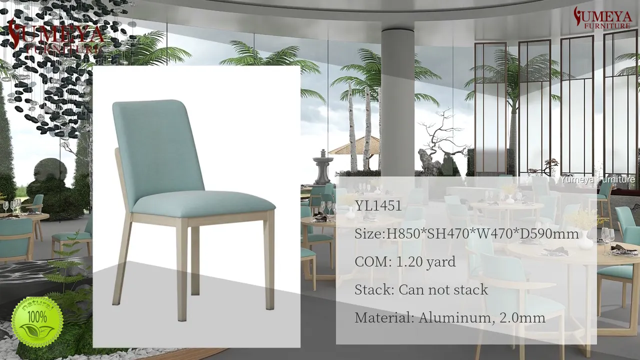 Achetez des chaises de salle à manger pour la société âgée | Yumeya Furniture 1